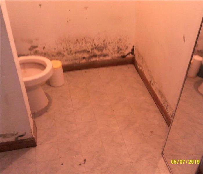 Bathroom showing toilet and moldy walls and sewage residue 