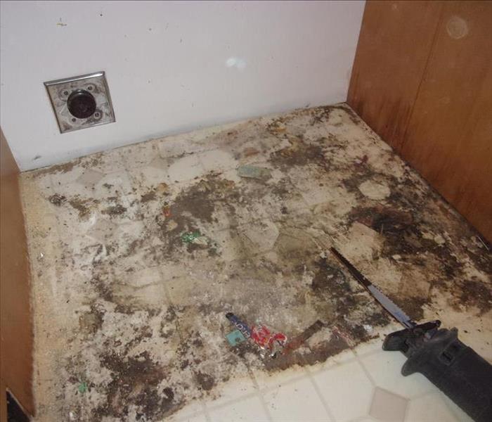 mold covered flooring between two kitchen cabinets